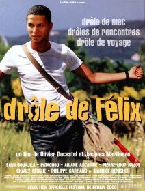 Drôle de Félix - Olivier Ducastel, Jacques Martineau - critique
