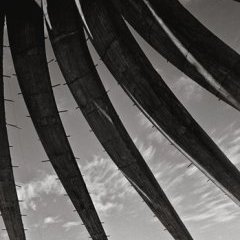 Cathédrale Notre-Dame de l'Apparition, Brasilia, 1961 Cathédrale Notre-Dame de l'Apparition, Brasilia, 1961