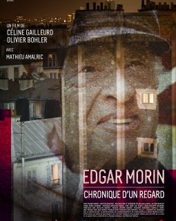Edgar Morin, chronique d'un regard - la critique