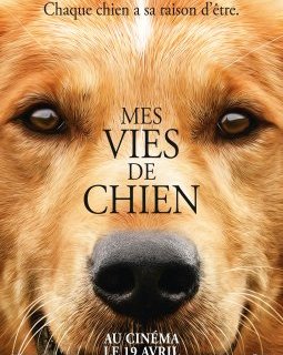 Mes Vies de Chien : bande-annonce