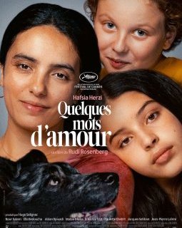 Quelques mots d'amour - Rudi Rosenberg - critique