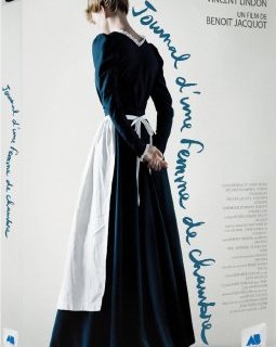 Le Journal d'une femme de chambre - le test DVD