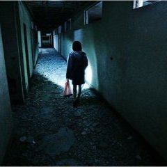 Les Chiens errants : Photo