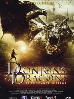 Donjons & dragons, la puissance suprême - la critique