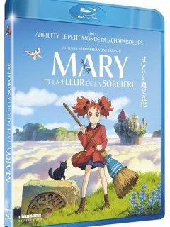 Mary et la Fleur de la Sorcière – le test blu-ray