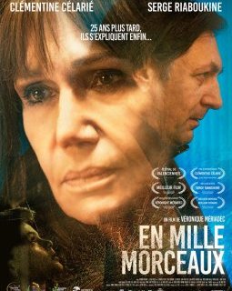 En mille morceaux - la critique du film