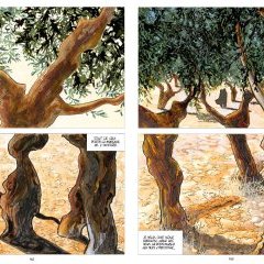 Les oliviers du Négus – p. 162-163