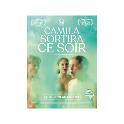 Camila sortira ce soir - Inés María Barrionuevo - critique 