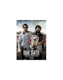 Date limite : la nouvelle comédie déjantée avec Robert Downey Jr 