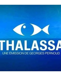 Georges Pernoud, un homme qui aimait la mer