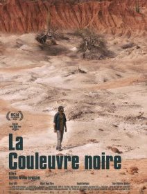 La couleuvre noire - Aurélien Vernhes-Lermusiaux - critique 