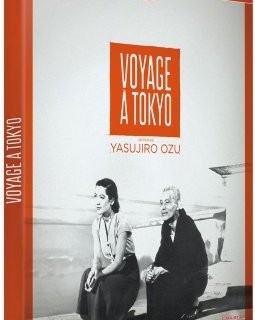 Voyage à Tokyo - le test blu-ray