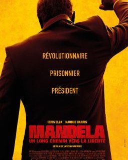 Mandela : Un long chemin vers la liberté - l'ultime hommage d'Hollywood à Nelson Mandela