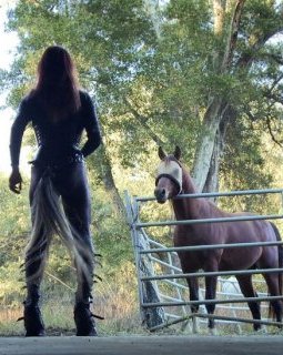 Être Cheval (Etrange Festival 2016) - la critique du film + entretien avec le réalisateur Jérôme Clément Wilz