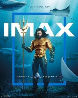 Box-office France : Aquaman surnage la concurrence, mais Astérix demeure champion de France