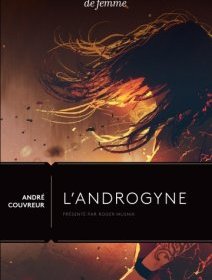 L'androgyne d'André Couvreur - La critique du livre