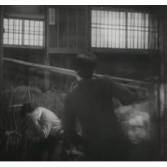 SHIMIZU Hiroshi - 1937 - 花形選手 - Hanagata senshu