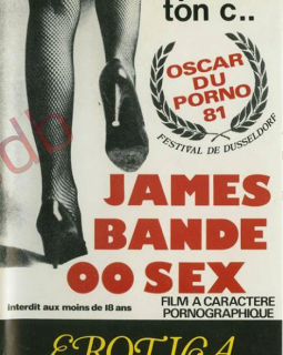 Les titres pornos les plus drôles