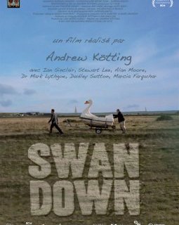 Swandown - la critique du film