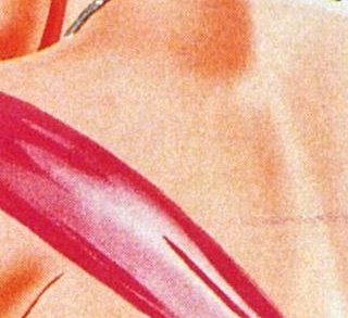 Mirage de la vie - Douglas Sirk - critique 