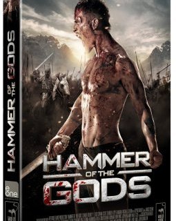 Hammer of the gods - la critique du film et le test DVD
