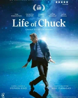 Life of Chuck - Mike Flanagan - critique