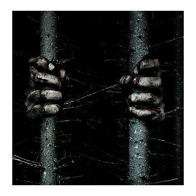 The Woods : Adam Wingard, nouveau maître de l'horreur promet du sérieux en bande-annonce