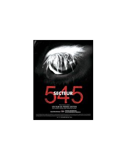 Secteur 545 - la critique
