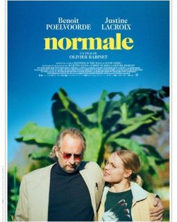 Normale - Olivier Babinet - critique