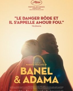 Banel & Adama - Ramata-Toulaye Sy - critique