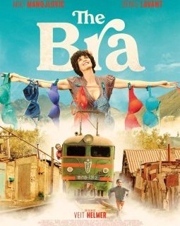 The Bra - Vet Heilmer - critique