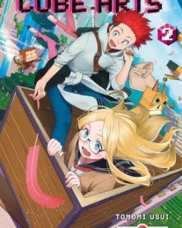 Cube Arts T2 – Tomomi Usui - chronique BD