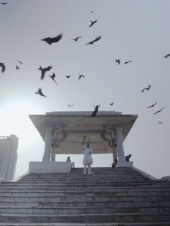 Tout ce que nous respirons - Shaunak Sen - Fiche film