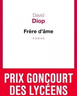 Frère d'âme de David Diop – La critique du roman 