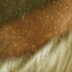 À pied d'œuvre - Valérie Donzelli - critique