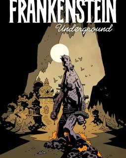 Frankenstein Underground - La chronique BD