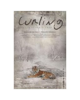 Curling - la critique + le test DVD