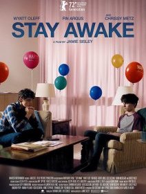 Stay Awake - Jamie Sisley - critique 