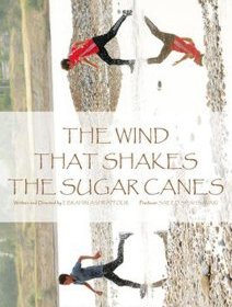 That Wind That Shakes the Sugar Canes - Ebrahim Ashrafpour - critique