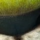 Les Croods 2 - Joel Crawford - critique
