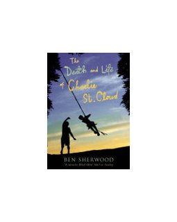 Charlie St. Cloud : le nouveau Zac Efron repoussé