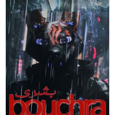 Bouchra - Orian Barki et Meriem Bennani - critique