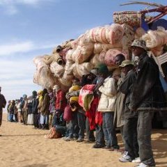 © Colifilms Diffusion