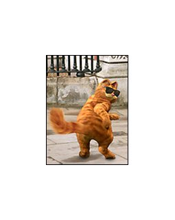 Garfield 2
