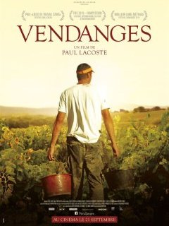 Vendanges - la critique du film