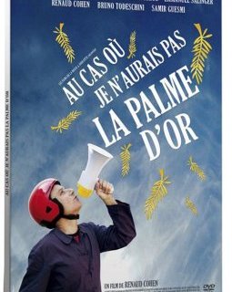 Au cas où je n'aurais pas la palme d'or - la critique + le test DVD