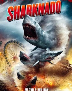 Sharknado - Anthony C. Ferrante - critique