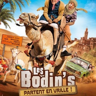 Les Bodin's partent en vrille - Frédéric Forestier - critique 