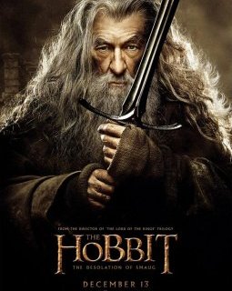 Le Hobbit : la désolation de Smaug - les affiches personnages