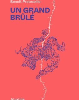 Un grand brûlé - Benoît Preteseille - la chronique BD